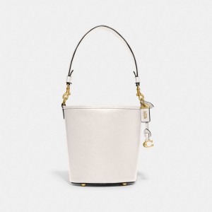 Coach Dakota Bucket Bag 16 Schoudertassen Dames Gekleurd | AX9628137