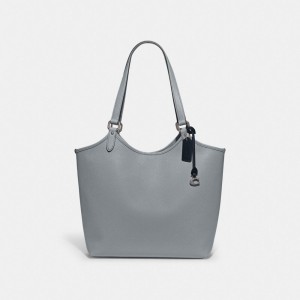 Coach Day Tote Bag Tote Tassen Dames Zilver Grijs Blauw | WV9271805