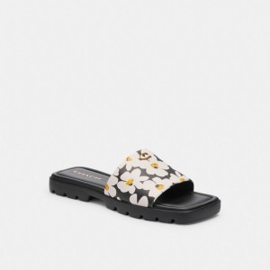 Coach Florence Sandal With Floral Print Sandalen Dames Gekleurd | BY4812057