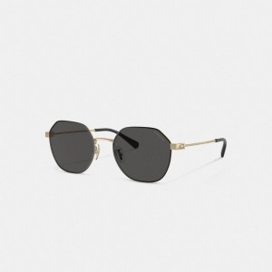 Coach Hinged Geometric Round Sunglasses Zonnebril Heren Goud Zwart | CP4283761
