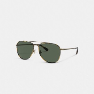 Coach Metal Windsor Pilot Sunglasses Zonnebril Heren Goud | LZ0752148