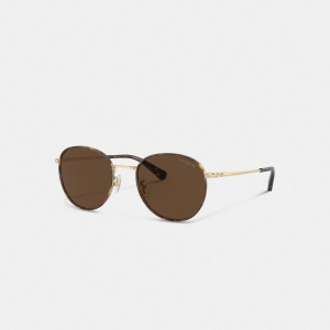 Coach Metal Windsor Round Sunglasses Zonnebril Heren Bruin Goud | YZ9315420