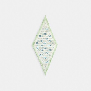 Coach Tea Rose Print Silk Diamond Scarf Sjaal Dames Gekleurd | LC2746853